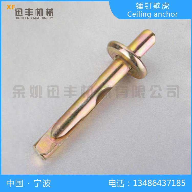 Ceiling anchor